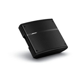 Bose? Panaray? 310M 多向返聽揚聲器